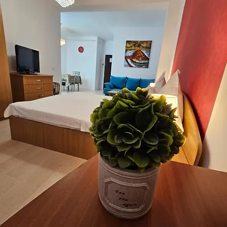 Apartment Gabizz